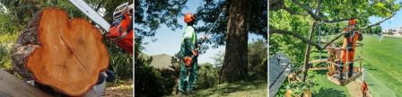 Технические характеристики профессиональных бензопил Husqvarna позволяют работать в нестандартных и сложных условиях, на высоте, и пилить даже самые крупные деревья.